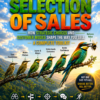The Natural Selection of Sales